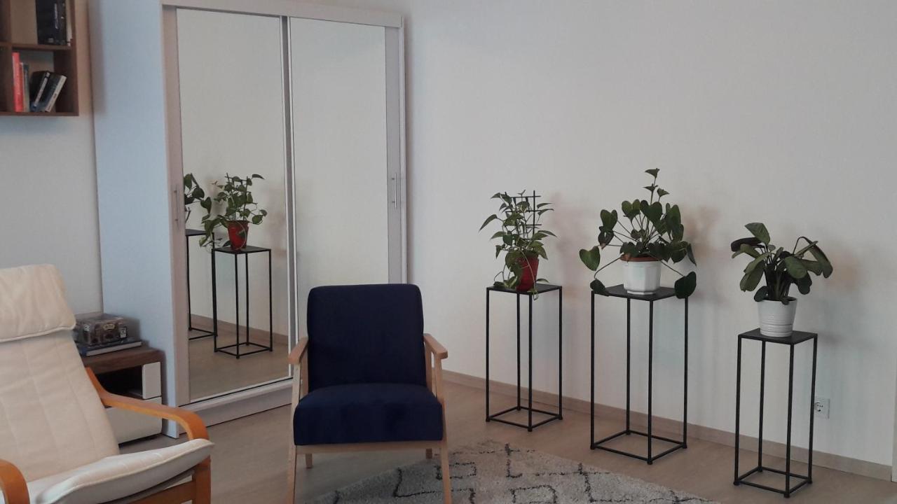 Liliom Apartment With Free Parking Space Budapeşte Dış mekan fotoğraf